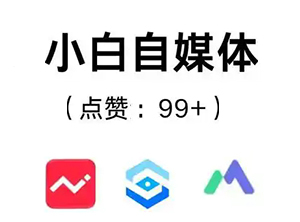 今日百科网,一个百科小白网站